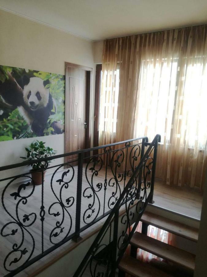 Happy Pandasn12 Hotel Borjomi Exterior photo